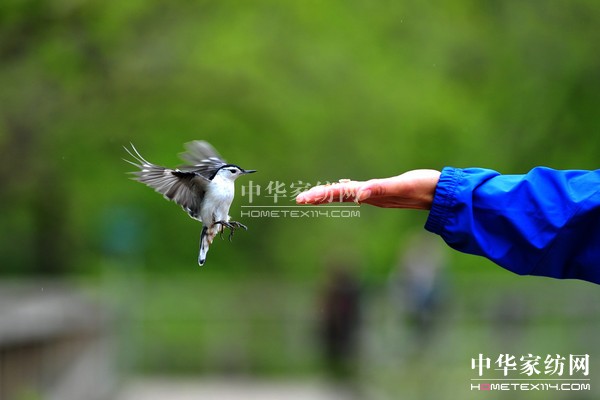 ��(d��o)ُ(g��u)��Ϋ@��͵����θ���