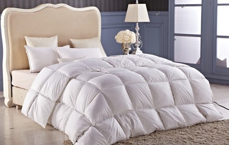 ���_�m�qĩ���u��g���ݡ����f�õĲ�Ҋ��ɢ��