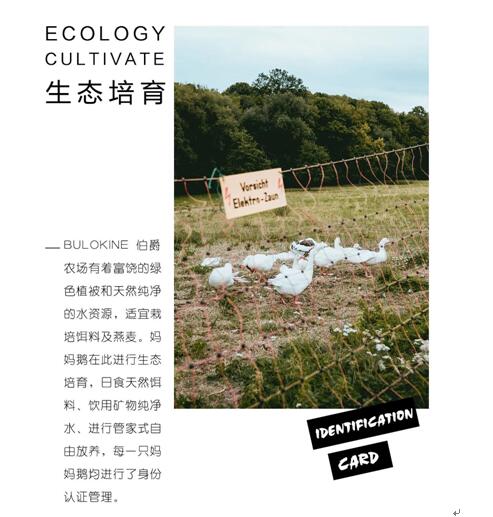 ����Ҽ����m�����q���¾��p�����