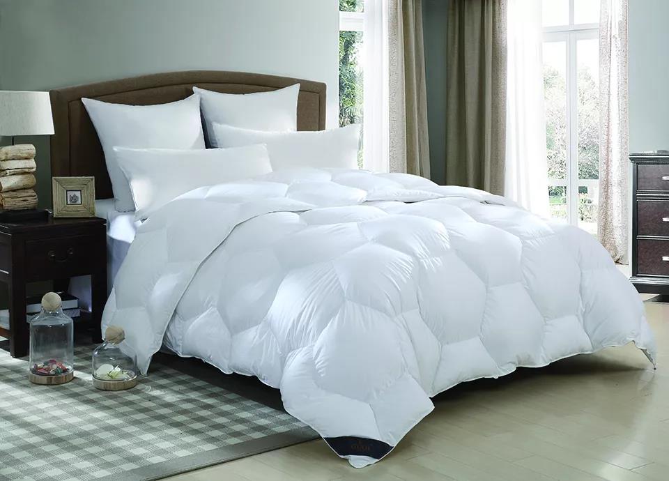 ����Ʒ�Z�q������(bi��o)��(zh��n)���_(t��i)���쿴�����I�ı����_(d��)��(bi��o)�˛]��