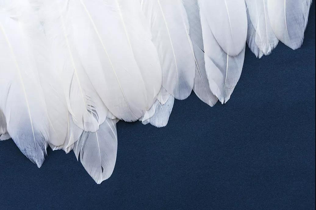 ����Ʒ�Z�q������(bi��o)��(zh��n)���_(t��i)���쿴�����I�ı����_(d��)��(bi��o)�˛]��